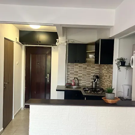 Ultracentral Studio Apartment Bucharest